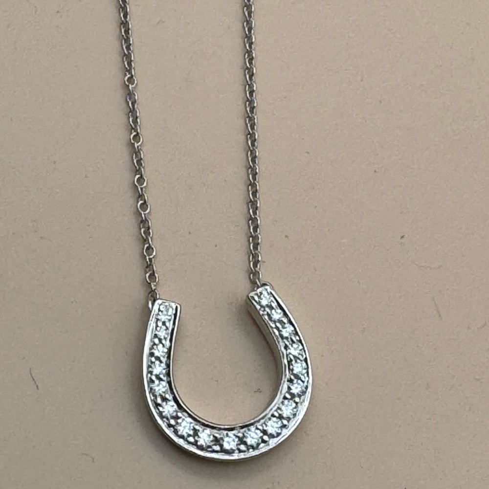 “Tiffany” platinum and diamond 17 inch horseshoe necklace.